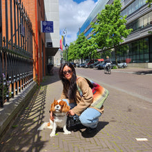 Load image into Gallery viewer, JAZZ Tote - Colourful Zigzag